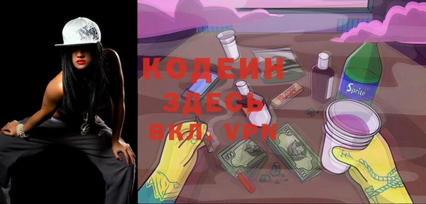 индика Верхний Тагил