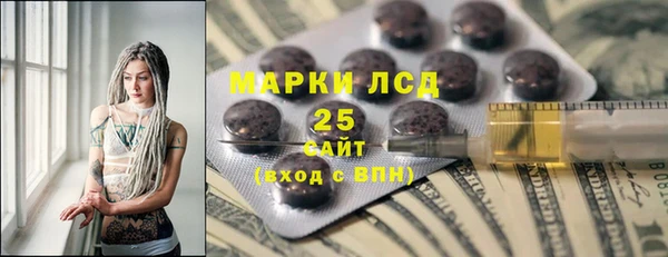 индика Верхний Тагил