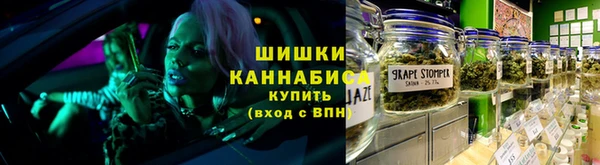 индика Верхний Тагил