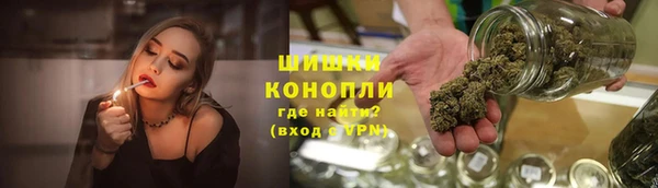индика Верхний Тагил