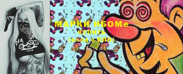 индика Верхний Тагил