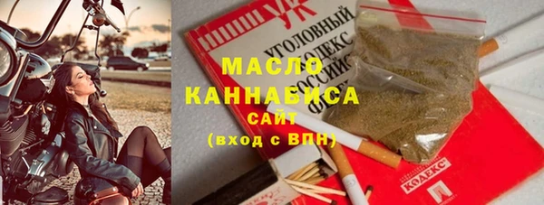 индика Верхний Тагил