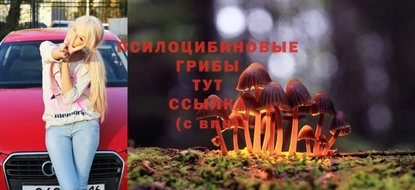 метадон Верея