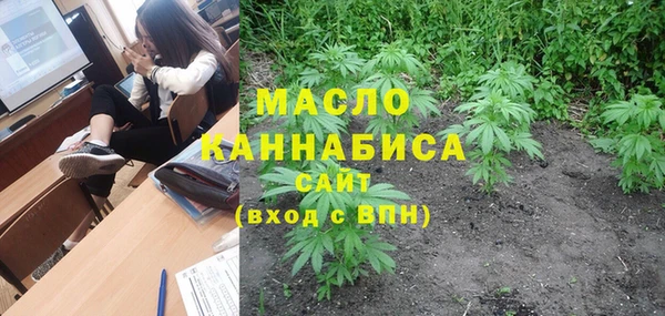 индика Верхний Тагил