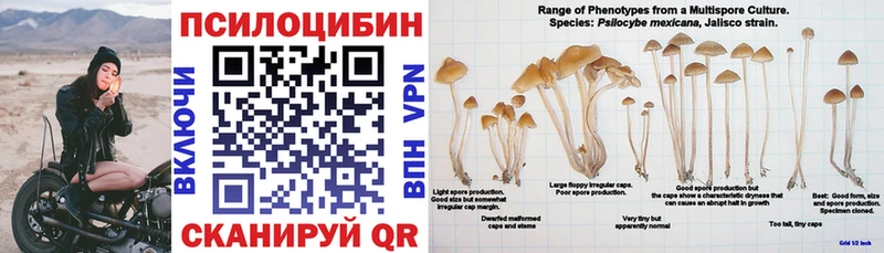 Псилоцибиновые грибы прущие грибы  цены наркотик  Добрянка 